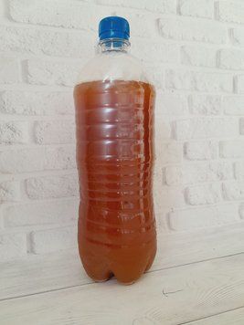 Квас домашній (без дріжджів), 1 літр 3813885355312 фото